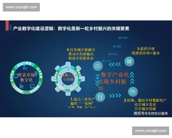以分工明确为核心推动协同高效运作的现代组织治理新路径探索