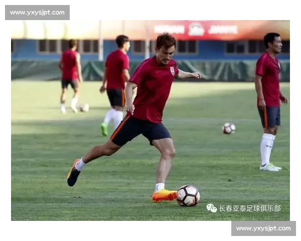 助理教练在团队战术执行与球员成长中的关键作用与实践探索路径研究